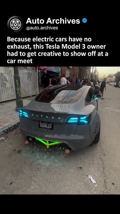 robotodog's tweet card. Tesla owner gets creative with exhaust mods