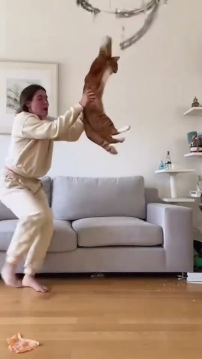 malekm59's tweet card. #foryou #funny #funnyhumor #pets