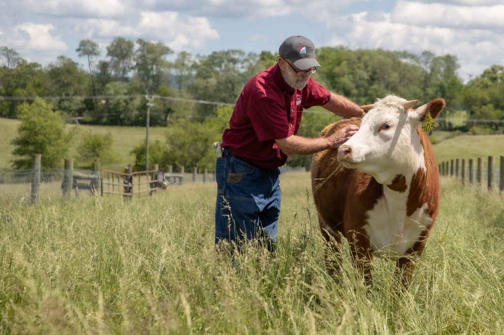 VACoopExt's tweet card. An essential part of the region’s soil and water health, Virginia farmers have an opportunity to share best practices and influence state planning.