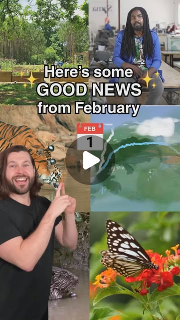 OttTreeHugger's tweet card. Sam | Sustainable Living (@sambentley) • Instagram reel