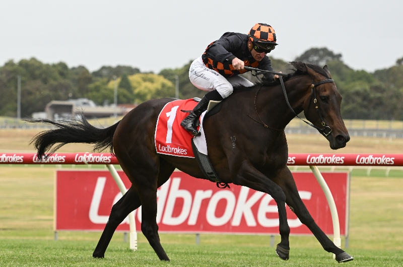 bets_comau's tweet card. Winterbottom Stakes 2025 Barrier Draw & Final Field. The barrier draw has been conducted for the 2025 Winterbottom Stakes, held at Ascot on Saturday, November 29.