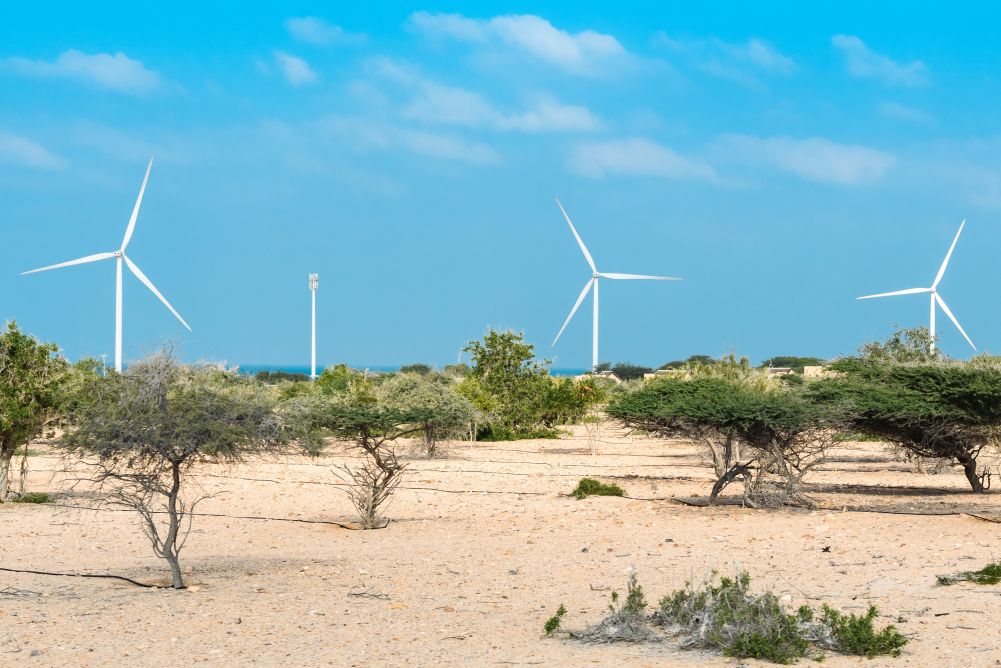 TheAssetMag's tweet card. Apart from governance, sustainability factors take back seat to market build-out, alternative, digital asset adoption