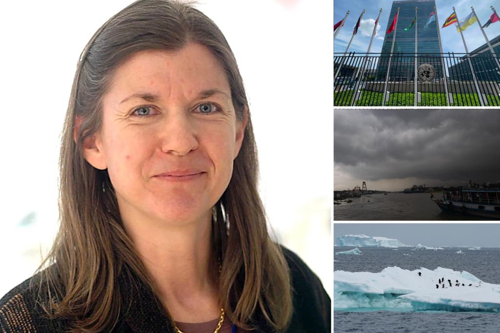 disclosetv's tweet card. Climate scientist Judith Curry says climate change is a "manufactured consensus."