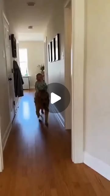 Schoderli's tweet card. OMG DISCOVER 🤩🤗 (@omgdiscover) • Instagram reel