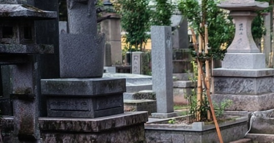 moeruasia01's tweet card. アジア関係のニュース、ネタなどを日本人目線で軽く&見やすく&分かりやすくをモットーにまとめます