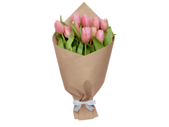 FreePNGImage's tweet card. 💬 0  🔁 0  ❤️ 0 · Tulips Bouquet Transparent PNG Image - Freepngimage.com · Tulips Bouquet transparent image. Download free Tulips Bouquet transparent image in PNG formats.