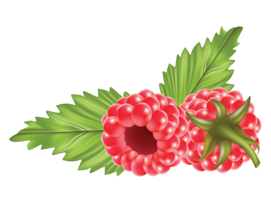 FreePNGImage's tweet card. 💬 0  🔁 0  ❤️ 0 · Raspberries Transparent PNG Image - Freepngimage.com · Raspberries transparent image. Download free Raspberries transparent image in PNG formats.