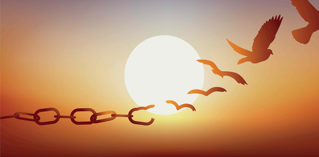 patlacmj's tweet card. L’injonction à une science en accès libre favorise un commerce éditorial prédateur, mais les changements récents du processus d’évaluation académique posent les bases d’une réponse collective.