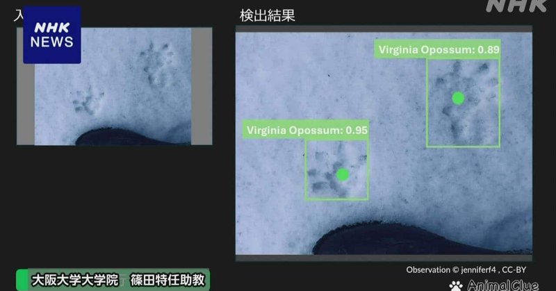 Tweet card summary image