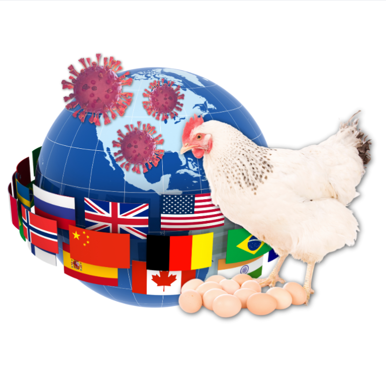 essfeed1's tweet card. Comprehensive analysis of the global poultry industry in 2025 covering production trends, market leaders, technological innovations, sustainability challenges, and future outlook across the entire...