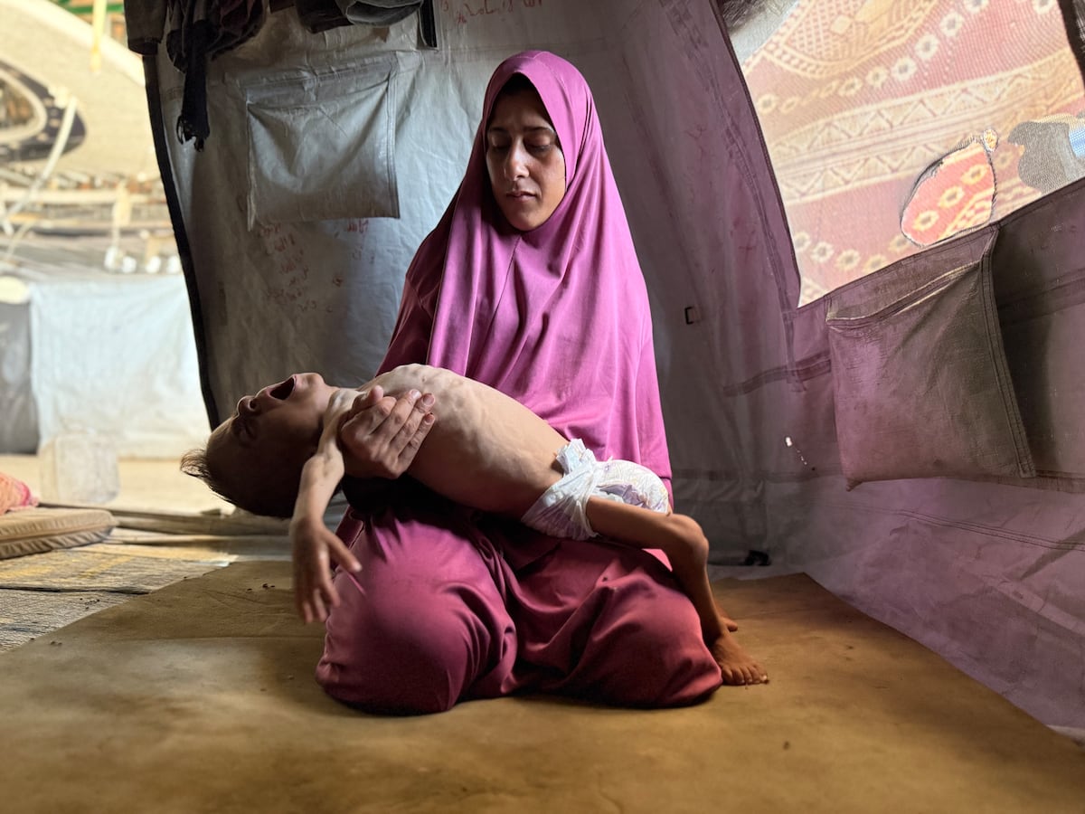 jmalbares's tweet card. España ha ido dando pasos hacia la paz y la justicia. Ahora se trata de que toda la comunidad internacional avance también con pasos concretos