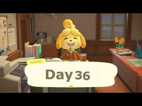 TheGamingOtter5's tweet card. Animal Crossing New Horizons Day 36 Chill Stream