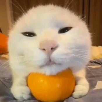 SavinTheBees's tweet card. Just a Latino existing.