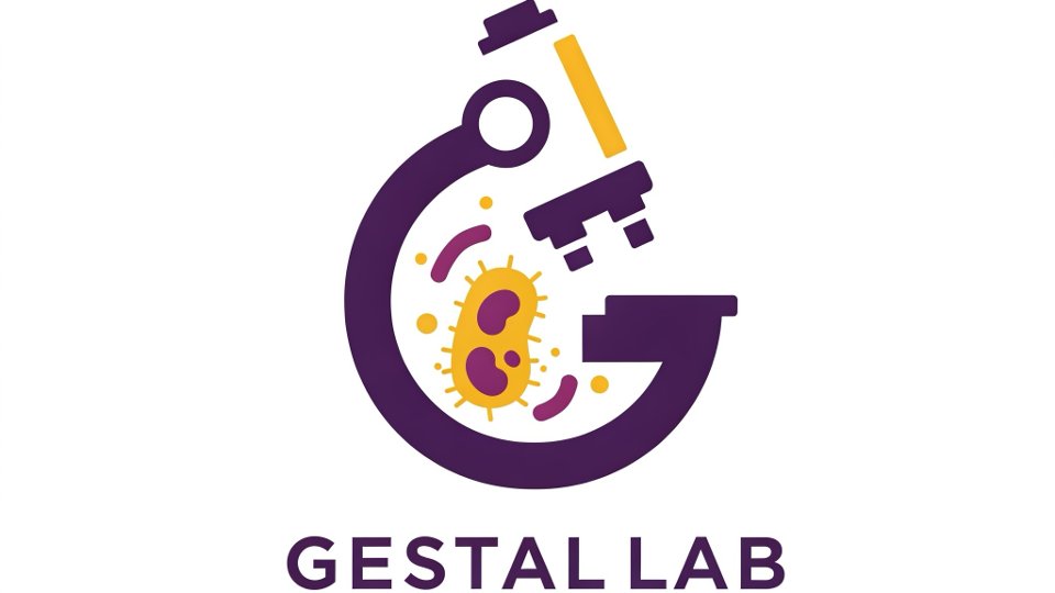 monica_gestal's tweet card. The Gestal Lab is a microbiology and immunology research laboratory that studies host-pathogen interactions, using Bordetella as a model, to unravel the molecular mechanisms that bacteria utilize to...