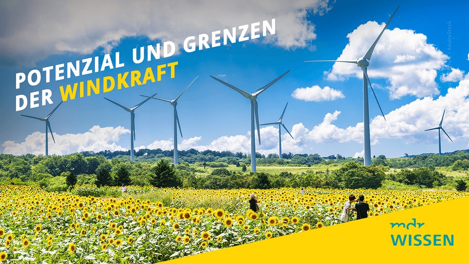 KlimaProtect's tweet card. Wie viel Energie kann weltweit durch Windkraft erzeugt werden? Laut einer neuen Studie des MPI für Biochemie in Jena mehr, als die Menschheit bis zur Jahrhundertmitte verbrauchen kann. Doch es gibt...