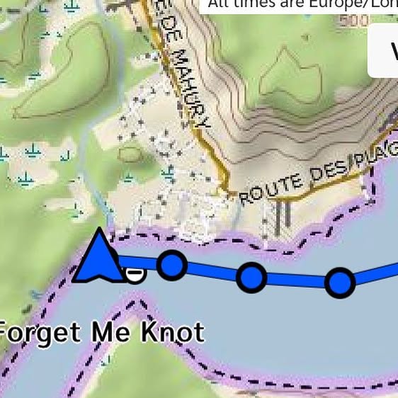 ForgetMeKnotRow's tweet card. Forget Me Knot Row (@forgetmeknotrow) • Instagram photo