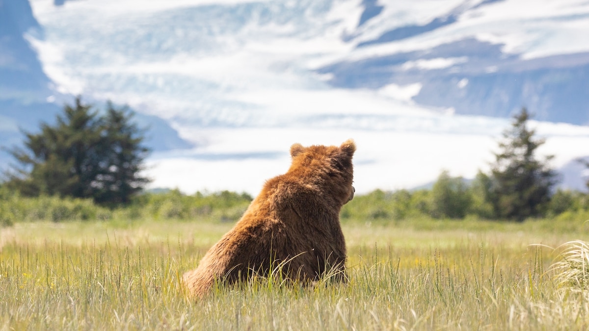 NatGeo's tweet card. "We cannot afford to lose any more wilderness, to any cause.” In a place of abundance, what it means to preserve and protect wilderness comes into focus.