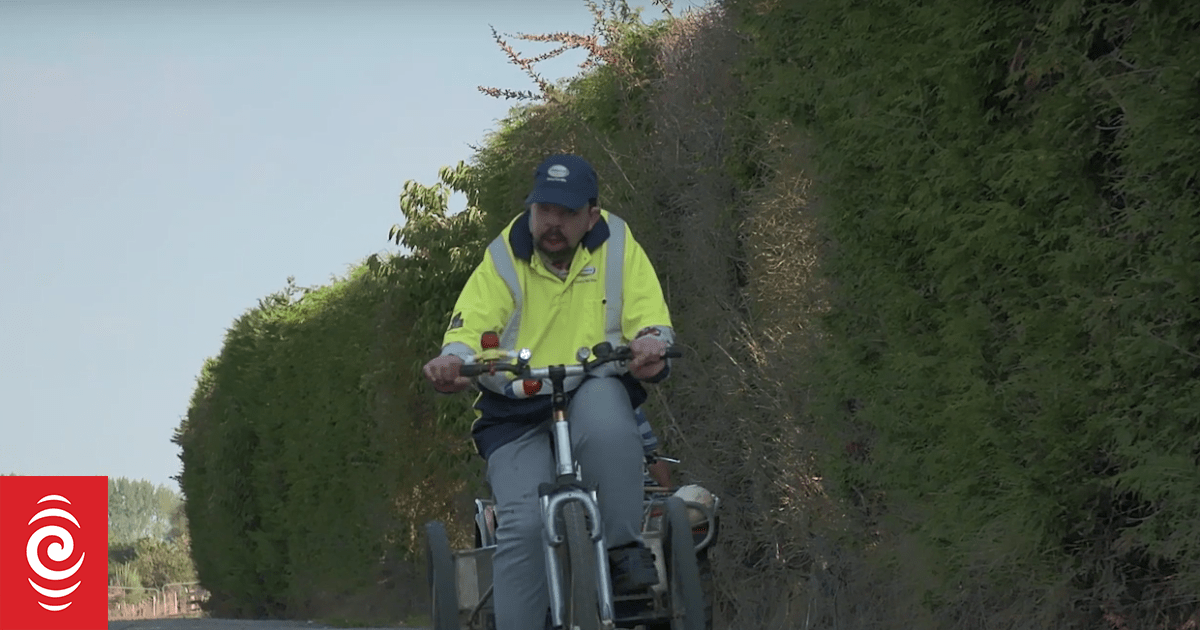 radionz's tweet card. In the Te Rapa district of Hamilton - Fonterra tanker drivers know that every evening their biggest fan will be waiting for them on a dairy farm on Reid Road. Fonterra's milk tankers are Andrew...