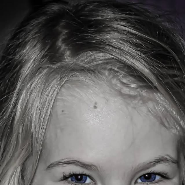 mcdevitt_paddy's tweet card. Patrick McDee (@shuttergrovephotography) • Instagram photo