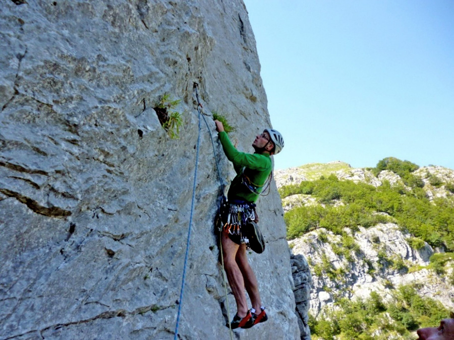 GognaBlog's tweet card. Tra olive marinate, torri medievali e bischerate varie, “tracciando una propria linea di pensiero sulle pareti”: il riscatto di una Cenerentola apuana.