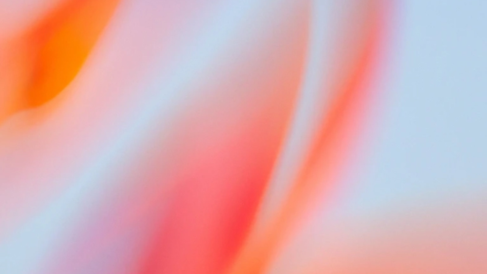 OpenAI's tweet card. OpenAI and Apple announce partnership to integrate ChatGPT into Apple experiences.