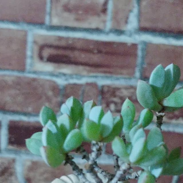 chQUxhXPsBEItFy's tweet card. 노경희 (@nkh9178) • Instagram photos and videos