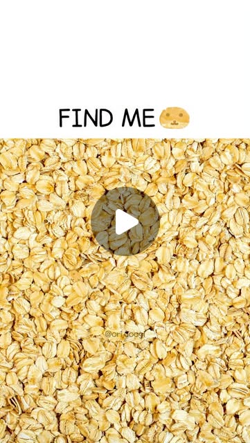 Doc_Beule's tweet card. 두햄빠! / DOOHAMBBA! (@doohambba) • Instagram reel