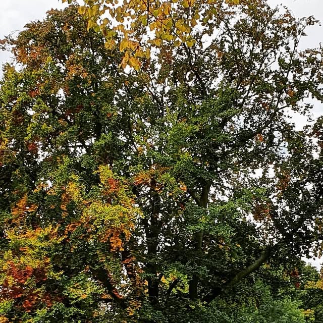 EPL_Learning's tweet card. Marc Fiedler (@einfachprogrammierenlernen) • Instagram photo