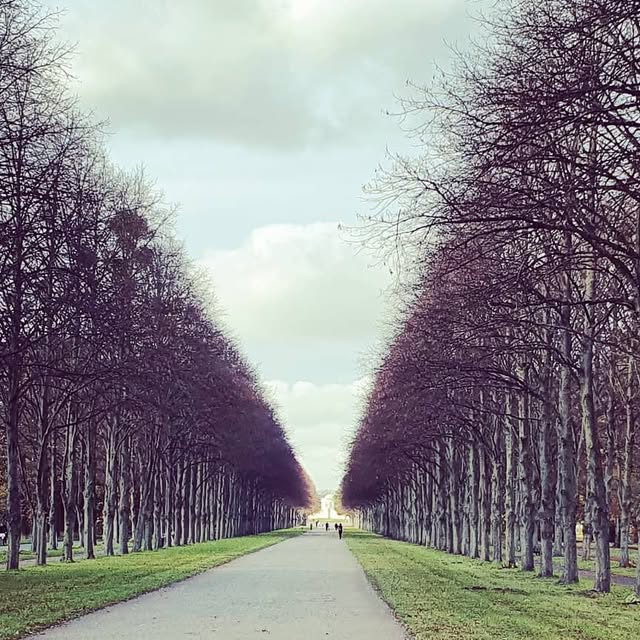 EPL_Learning's tweet card. Marc Fiedler (@einfachprogrammierenlernen) • Instagram photo