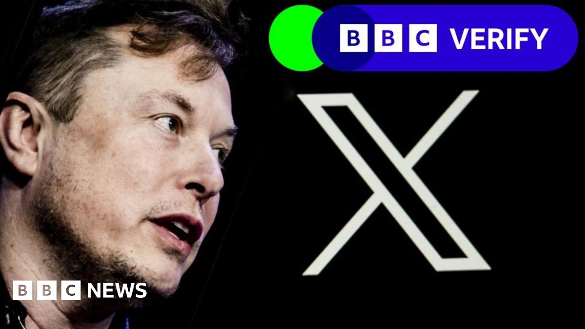 biancabritton's tweet card. BBC Verify investigates the claim by Elon Musk that Democrats import illegal immigrants to vote.