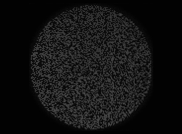 Caltech's tweet card. The neutral-atom platform shows promise for scaling up quantum computers.