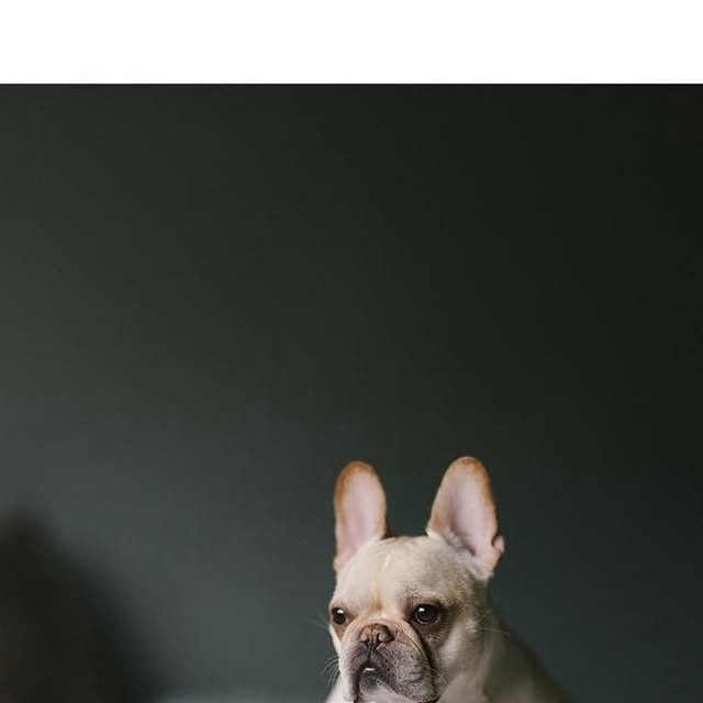 andrewbarkules's tweet card. Andrew Barkules (@abarkules) • Instagram photo