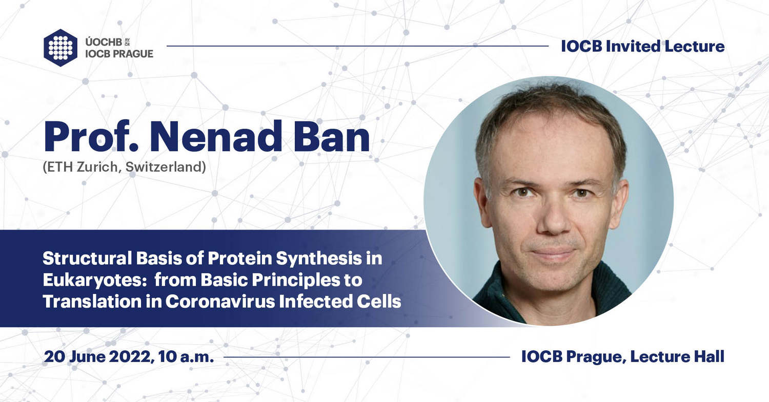IOCBPrague's tweet card. Prof. Nenad Ban (Institute of Molecular Biology and Biophysics, ETH Zurich, Switzerland) Lecture: Structural Basis of Protein Synthesis in Eukaryotes: from Basic Principles to Translation in…