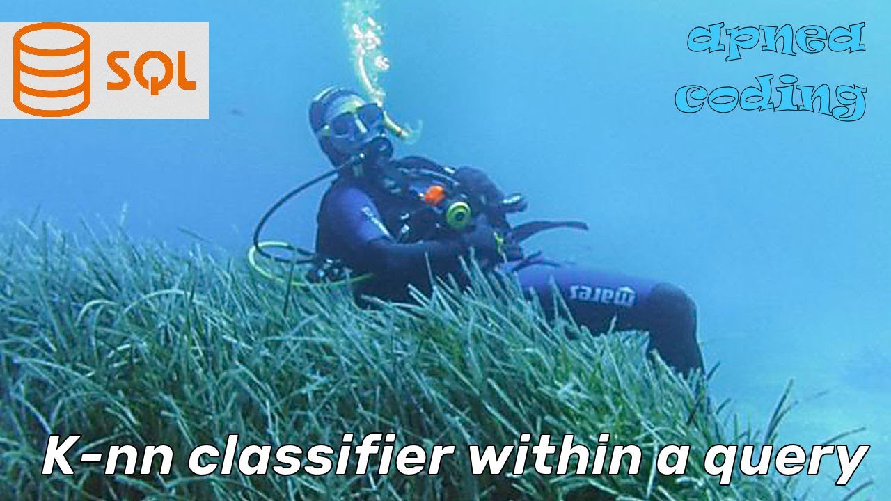 xgeorgio_gr's tweet card. asmr coding K-nn classifier in SQLite #asmr #coding #programming...