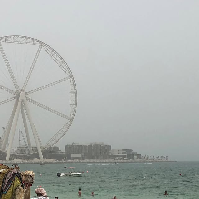 maegeek's tweet card. MãeGeek Blog (@mae_geek) • Instagram photos and videos