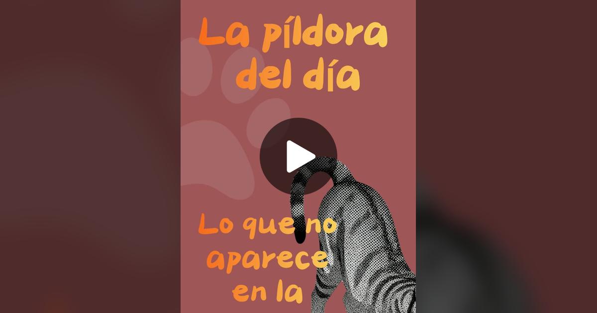 BotegaMazarol's tweet card. Check out Botega Mazarol’s video.