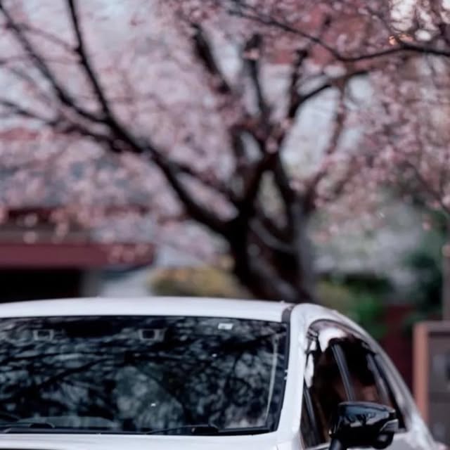 Refimage1's tweet card. Reflected Image Motorsports (@reflected_image) • Instagram photo