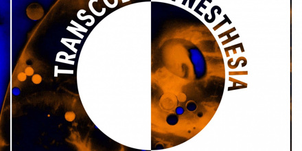 TranscodeUK's tweet card. Listen to Synesthesia - Single by Transcode.