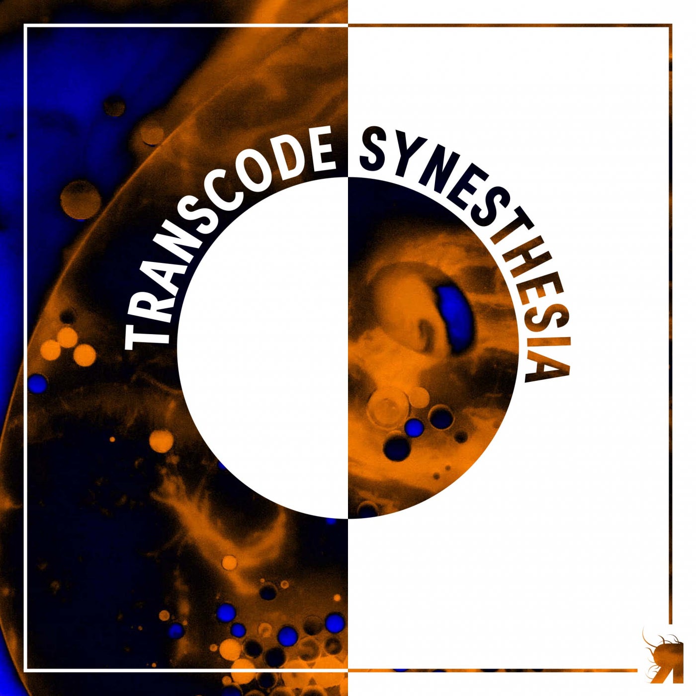 TechnoRecomm's tweet card. "Transcode - Synesthesia [Respekt Recordings]" | Find the latest releases here | #1 source for DJ Sets and more