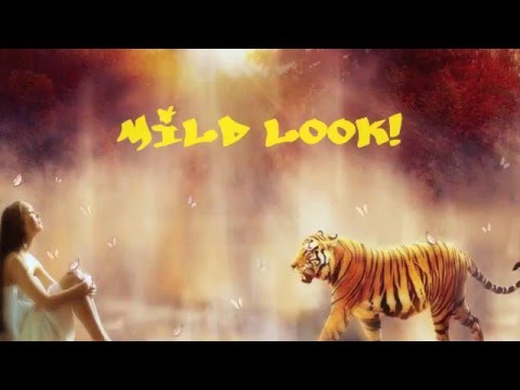 i_stringmachine's tweet card. MILD LOOK!