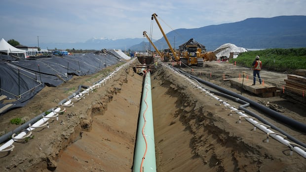 DarkPulseTech's tweet card. The Metis Settlements of Alberta say they’re interested in purchasing a stake in a proposed oil pipeline to the West Coast and want to work with First Nations in British Columbia who oppose the...