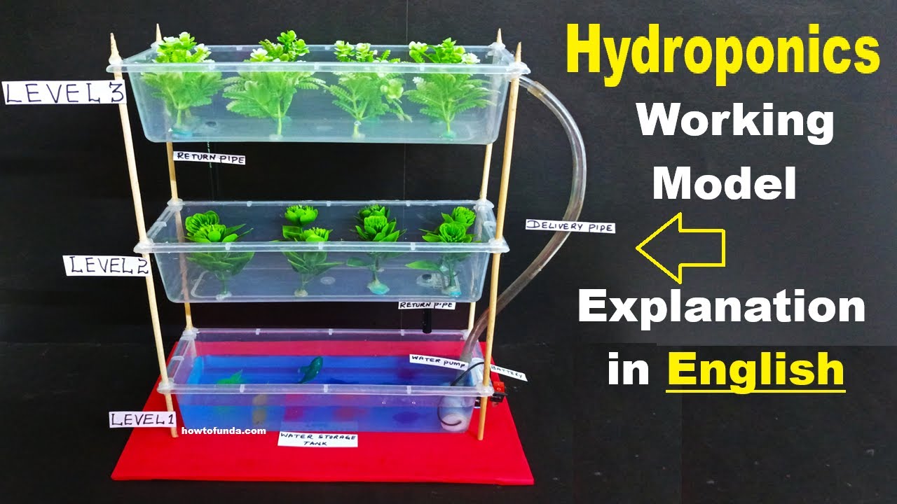 howtofunda's tweet card. hydroponics working model explanation in english - vertical farming -...