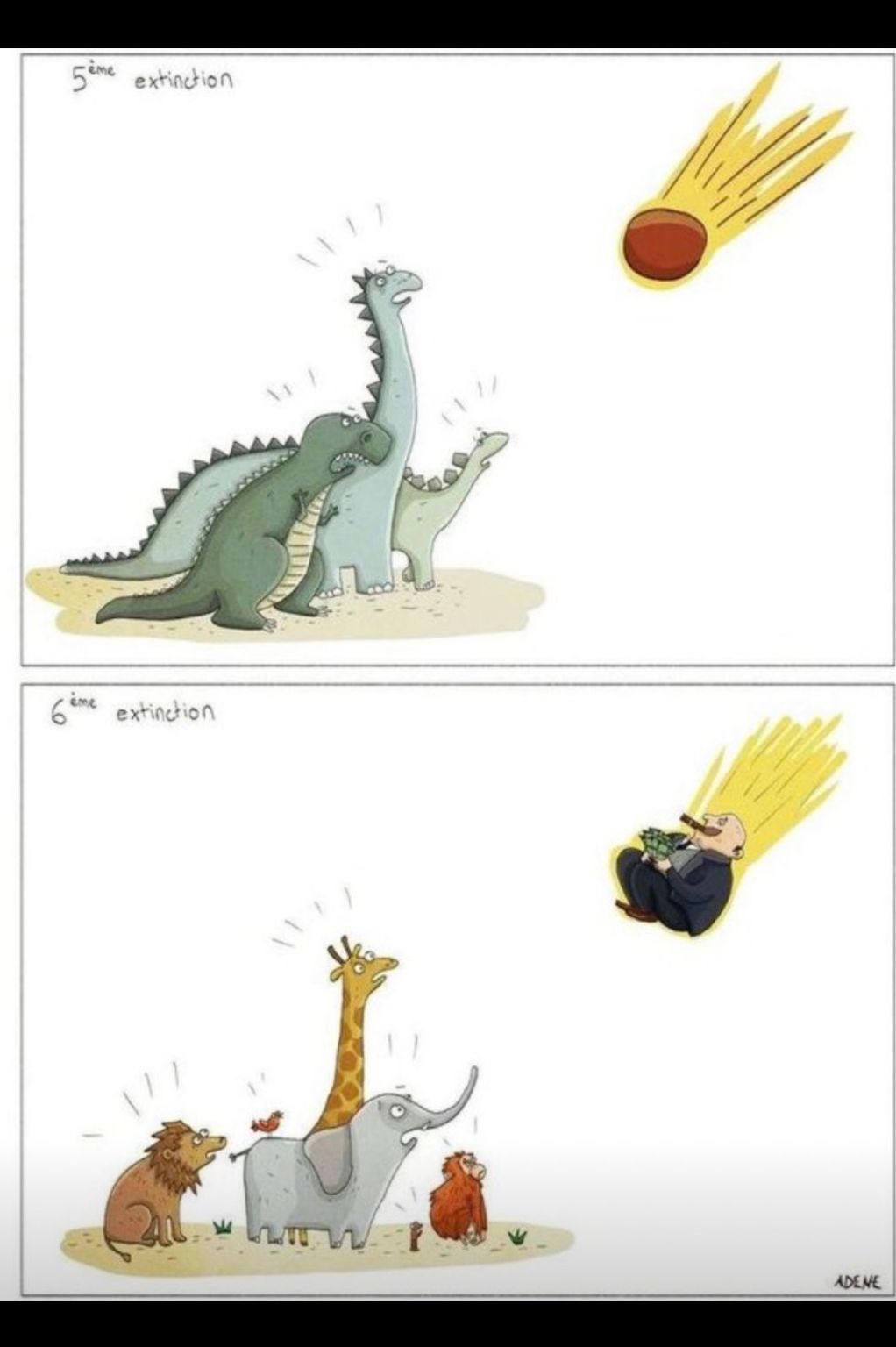 enlima's tweet card. simple as that!