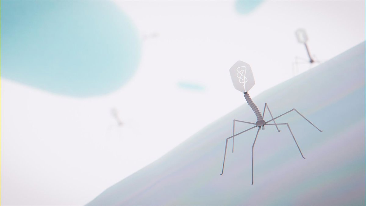 CSIC_VAPC's tweet card. Un estudio del Instituto de Biología Integrativa de Sistemas (I2SysBio), centro del Consejo Superior de...