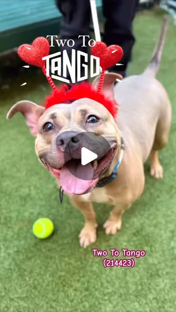 EASpenser's tweet card. FiDi Fosters NYC (@fidifosters) • Instagram reel