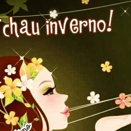 Blogprosaamiga's tweet card. Marisa Fernanda Da Silva Mello (@prosaamiga) • Instagram photo