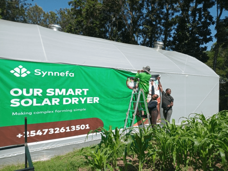 BIG3Africa's tweet card. Kenyan agritech startup Synnefa has secured new funding and technical support from global climate innovation platforms PREO and P4G, boosting its rollout of smart solar dryers that cut post-harvest...