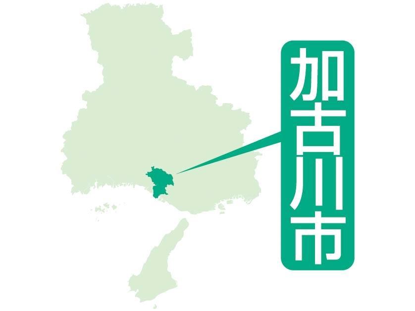 toban_kobenp's tweet card. 　阪急阪神ホールディングス（ＨＤ）は、傘下の投資ファンドを通じて、野菜生産のゼブラグリーンズ（加古川市）に出資したと発表した。出資比率や出資額は非公表。