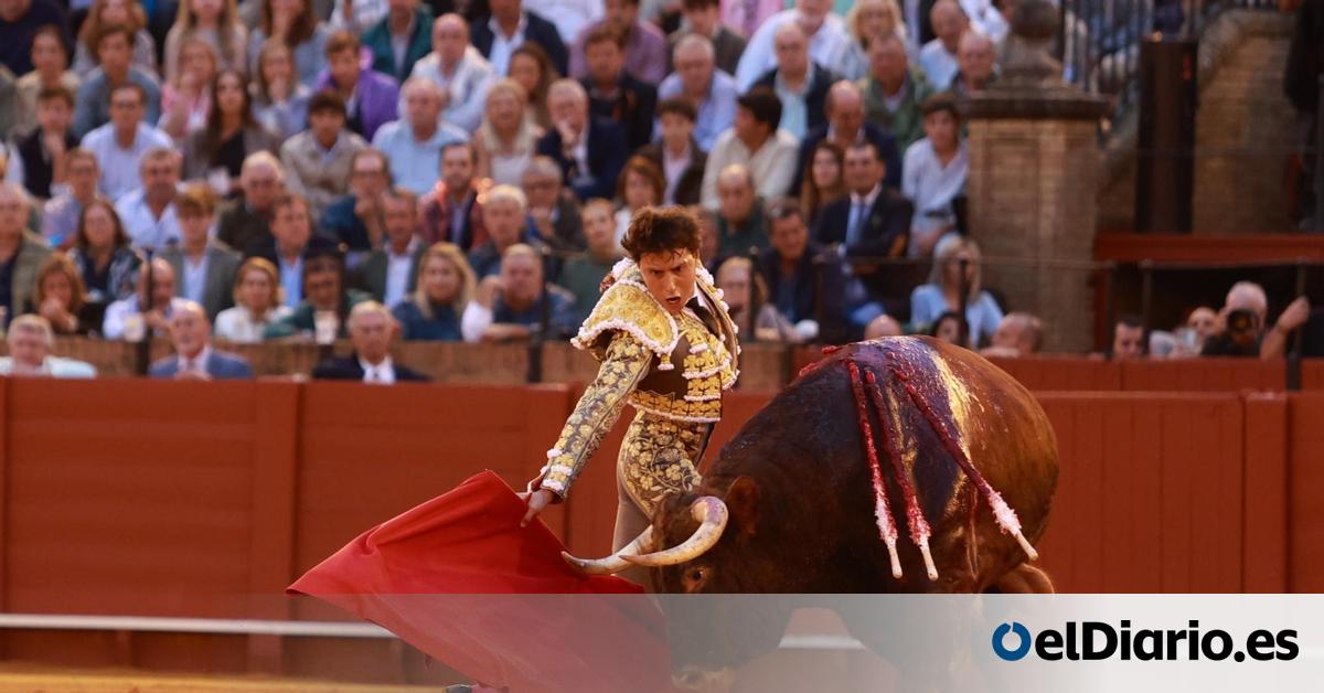 AngyGalvin's tweet card. La cámara no ha aprobado la toma en consideración de la Iniciativa Legislativa Popular (ILP) que buscaba acabar con el blindaje legal de la tauromaquia, y permitir que las comunidades autónomas...