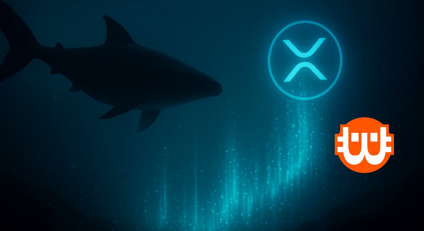 kriptoworldhu's tweet card. Az XRP bálna-száma csökken, mégis 7 éves csúcson az akkumuláció. Kulcsszint teszt előtt az árfolyam — jöhet az újabb felpattanás?